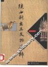 陕西新出土文物选粹  图集