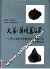 大荔-蒲城旧石器  大荔人遗址及其附近旧石器地点群调查发掘报告