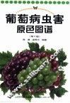 葡萄病虫害原色图谱