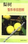 梨树整形修剪图解