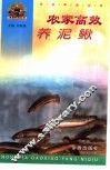 农家高效养泥鳅