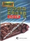 精编中外轿车实用维修全书  底盘分册