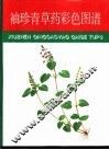 袖珍青草药彩色图谱