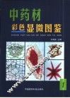 中药材显微彩色图鉴  第1册