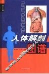 人体解剖图谱