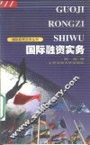 国际融资实务