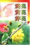 爱花·赏花·养花
