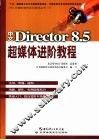 中文Director 8.5超媒体进阶教程
