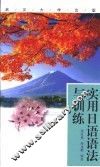 实用日语语法与训练