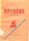 把炉火烧得通红  政治抒情诗集