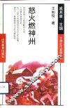 怒火燃神州