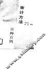 审计方法百种百例