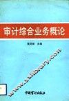 审计综合业务概论