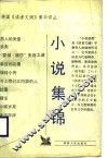 小说集锦