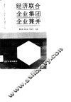 经济联合企业集团企业兼并
