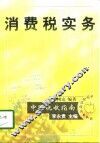 消费税实务