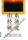 山东经济研究  上