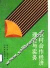 农村合作经济理论与实务
