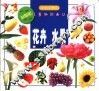 宝宝看世界·花卉·水果-益智版儿童知识画丛