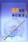 临床应用神经解剖