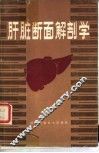 肝脏断面解剖学
