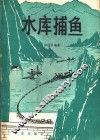 水库捕鱼