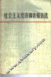 社会主义经济调查报告选