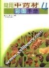 常用中药材彩图手册  4