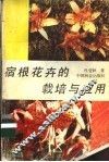 宿根花卉的栽培与应用