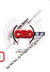 CEO基点 首席执行官理论与实务