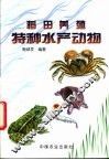 稻田养殖特种水产动物