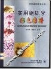 实用组织学彩色图谱  中英文本