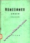 西北地区区域地层表