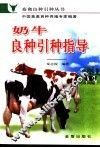 奶牛良种引种指导