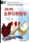 肉鸡良种引种指导