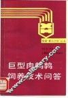 巨型肉鹌鹑饲养技术问答