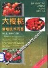 大樱桃栽培技术问答