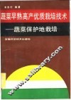蔬菜早熟高产优质栽培技术  蔬菜保护地栽培