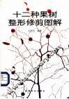 十二种果树整形修剪图解