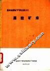 国外地质矿产译文选
