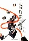 计算机网络原理与网络设计