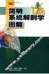 简明系统解剖学图解
