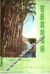 甘蔗栽培知识
