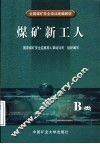 煤矿新工人 B类