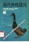 现代养鸭顾问