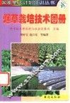 烟草栽培技术图册