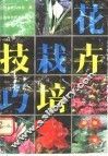 花卉栽培技巧