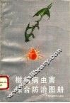 柑桔病虫害综合防治图册