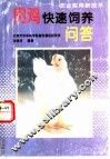 肉鸡快速饲养问答