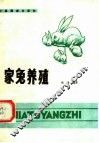 家兔养殖
